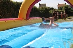 IMG 3598