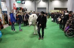 IMG 5317 (8808 visites) IMG 5317