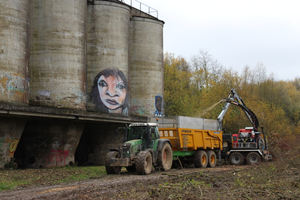 Travaux de déboisement sur le site de la future piscine