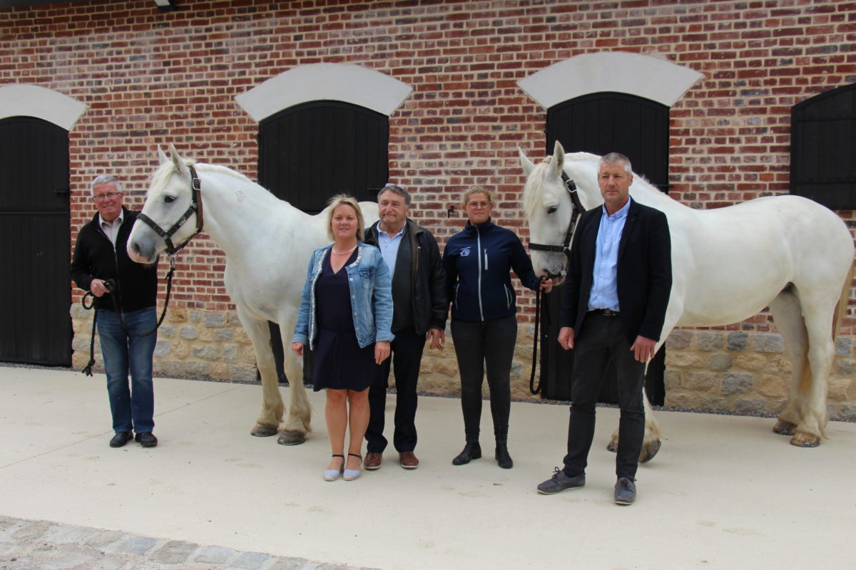 La Maison du cheval Boulonnais ouvre ses portes