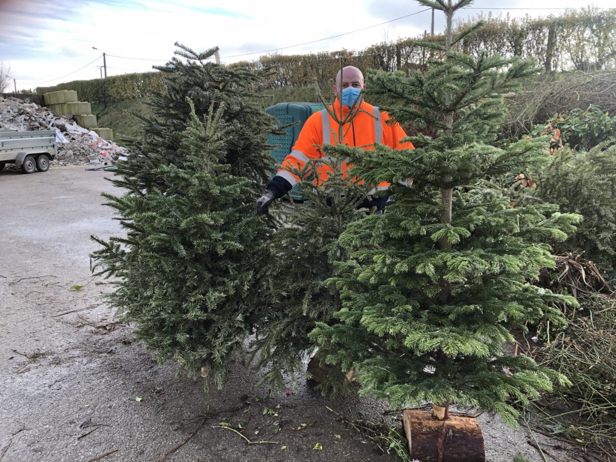 Les sapins réceptionnés mercredi 6 janvier à Samer