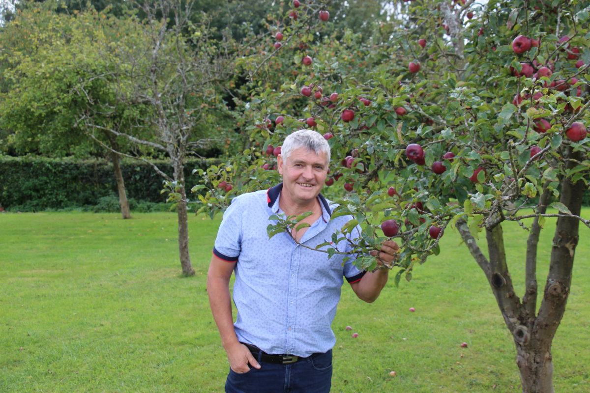 Portrait : Dominique Chochoy, passionné de pommes et de cidre