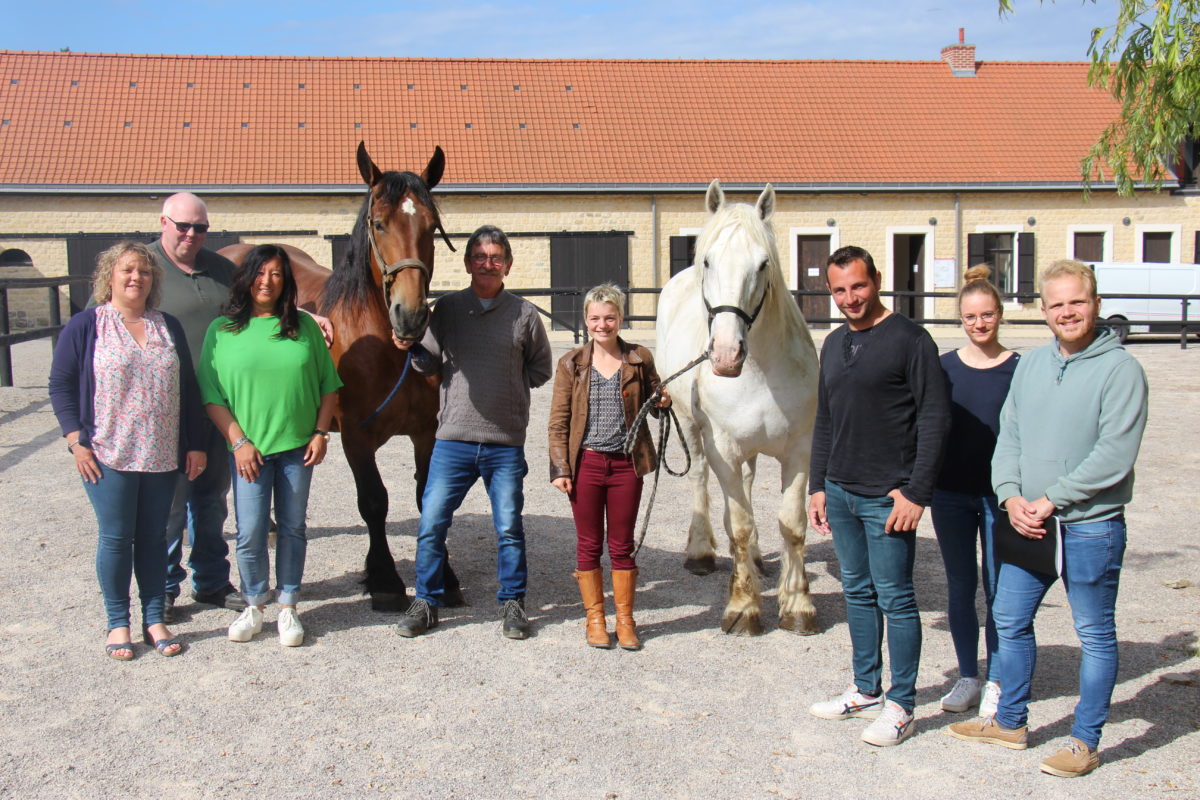 Un été à la Maison du Cheval Boulonnais